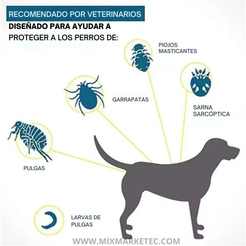 PulgaStop™ Collar Antipulgas de Larga Duración 🐶😺
