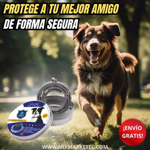 PulgaStop™ Collar Antipulgas de Larga Duración 🐶😺