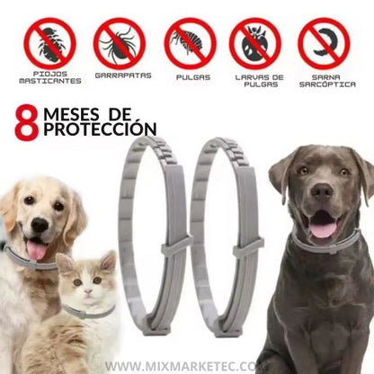 PulgaStop™ Collar Antipulgas de Larga Duración 🐶😺