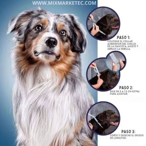 PulgaStop™ Collar Antipulgas de Larga Duración 🐶😺