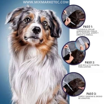 PulgaStop™ Collar Antipulgas de Larga Duración 🐶😺